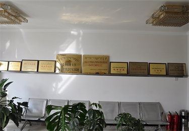 獎(jiǎng)杯展示