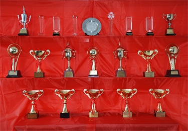 獎(jiǎng)杯展示