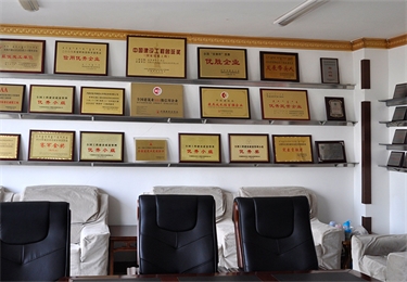 獎(jiǎng)杯展示