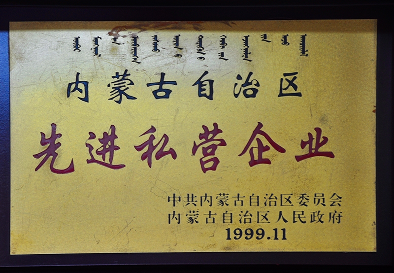 內(nèi)蒙古自治區(qū)先進私營企業(yè)