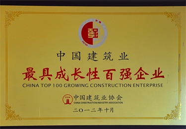 中國建筑業(yè)最具成長性百強企業(yè)