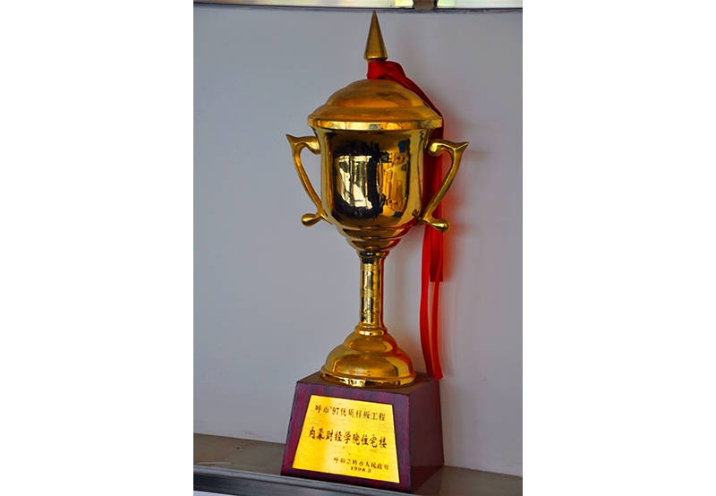 優(yōu)質(zhì)樣板工程內(nèi)蒙古財經(jīng)學(xué)院住宅樓