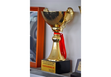 青城杯優(yōu)質(zhì)樣板工程