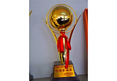 1999年度工程企業(yè)家